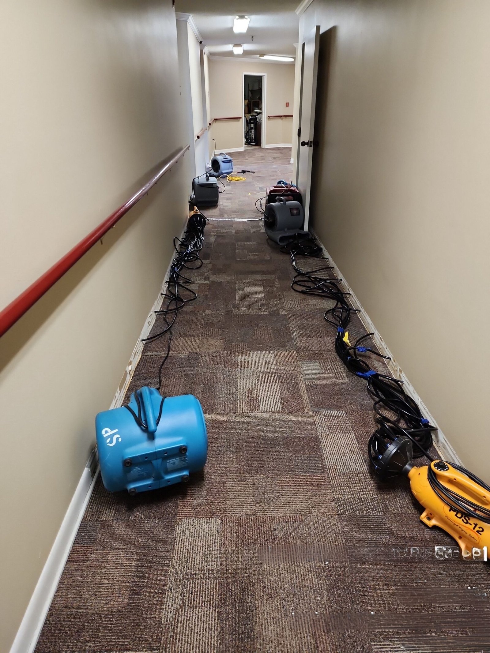 commercial carpet and rug cleaning