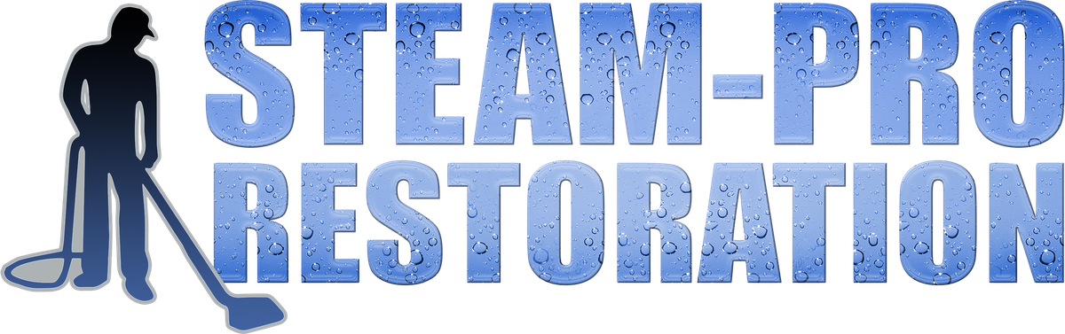 Steam-Pro Restoration logo