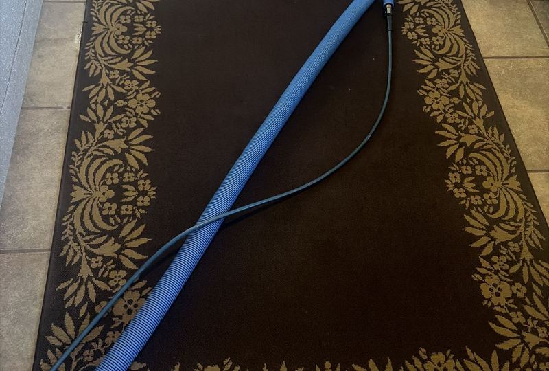 Blue extraction hose across a patterned area rug during cleaning