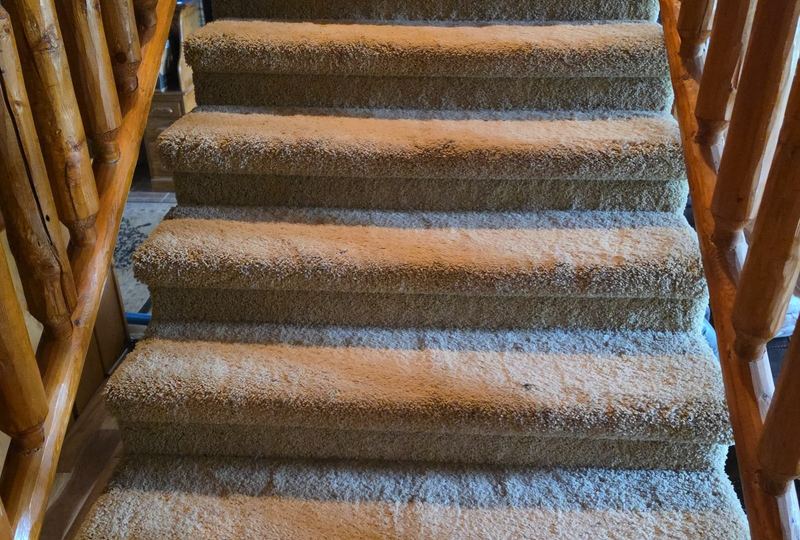 Carpeted stairs with log railings after cleaning