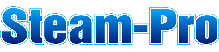 Steam-Pro Restoration